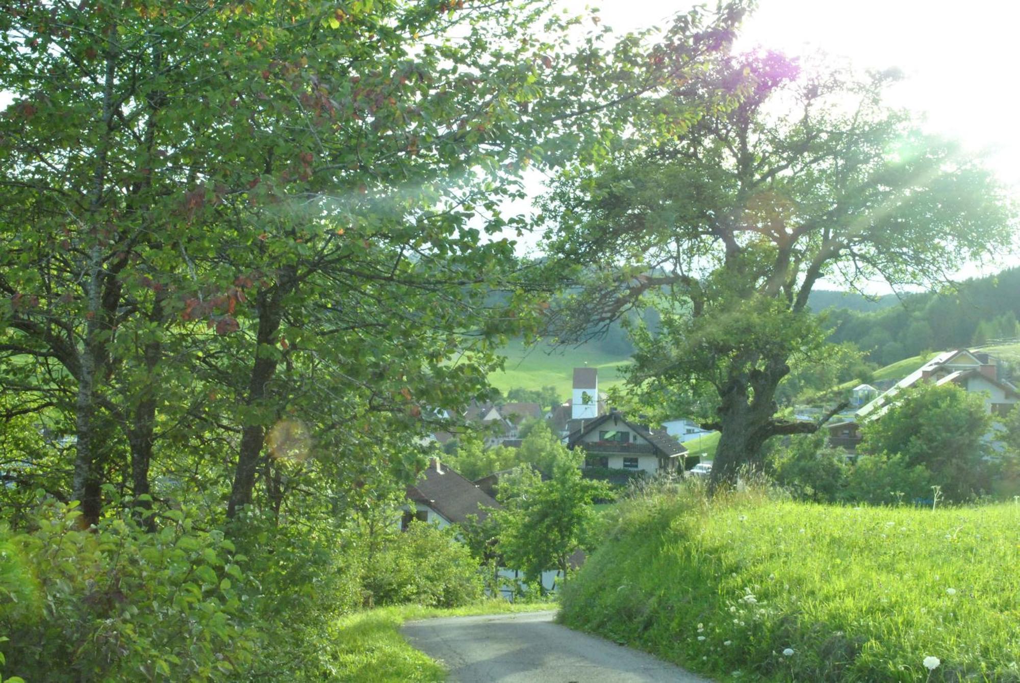بيت الضيافة كرانز Lausheim المظهر الخارجي الصورة