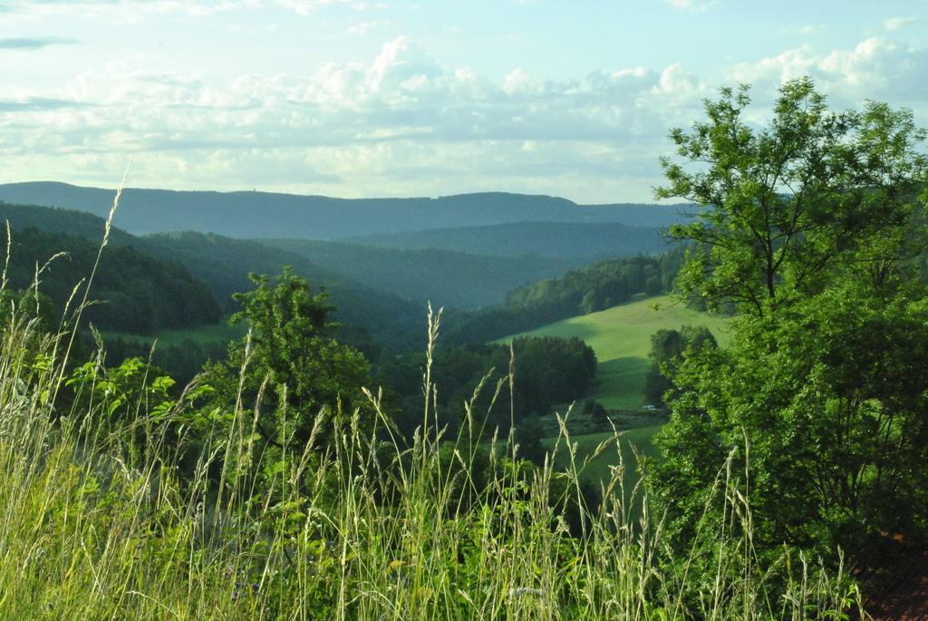 بيت الضيافة كرانز Lausheim المظهر الخارجي الصورة